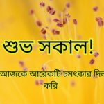 সুপ্রভাত ছবি, আজকের সুপ্রভাত ছবি, whatsapp সুপ্রভাত ছবি, সুন্দর সুপ্রভাত ছবি, সুপ্রভাত শুভ সকাল ছবি, বাংলা সুপ্রভাত ছবি, সু প্রভাত ছবি, সুপ্রভাত ছবি hd, শুভ সকাল সুপ্রভাত ছবি, নতুন সুপ্রভাত ছবি, সুপ্রভাত শুভ সকাল ছবি ডাউনলোড, বাংলা সুপ্রভাত ছবি download, সুপ্রভাত ফটো