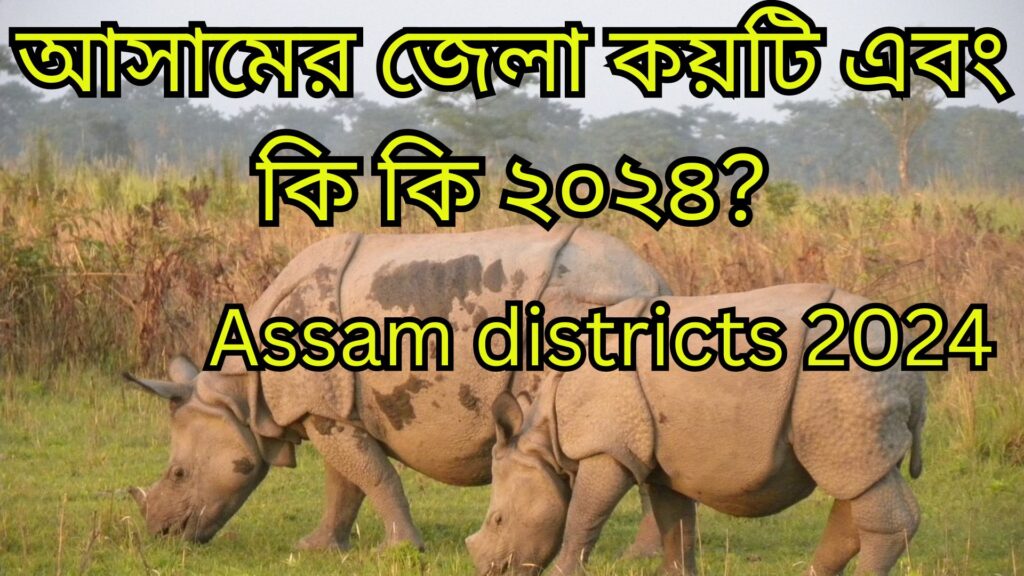 Assam districts 2024: আসামের জেলা কয়টি এবং কি কি ২০২৪?